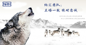 香蕉性爱视频的團隊精神
